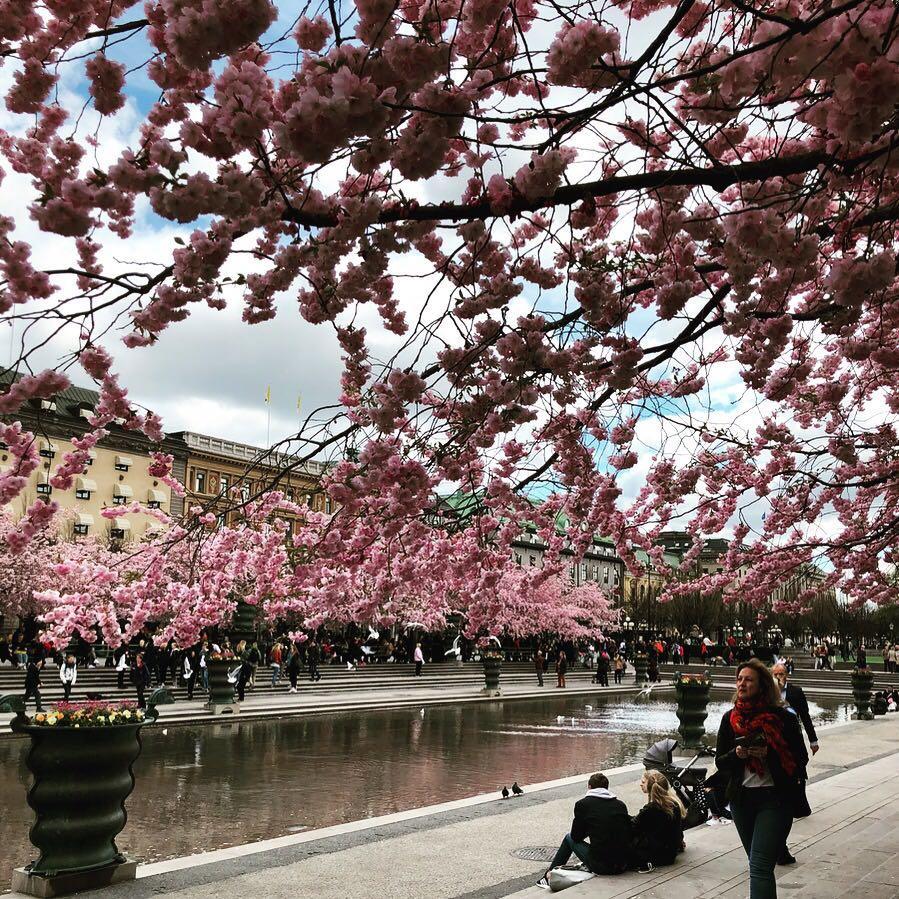 Dockside Hostel Stockholm Ngoại thất bức ảnh